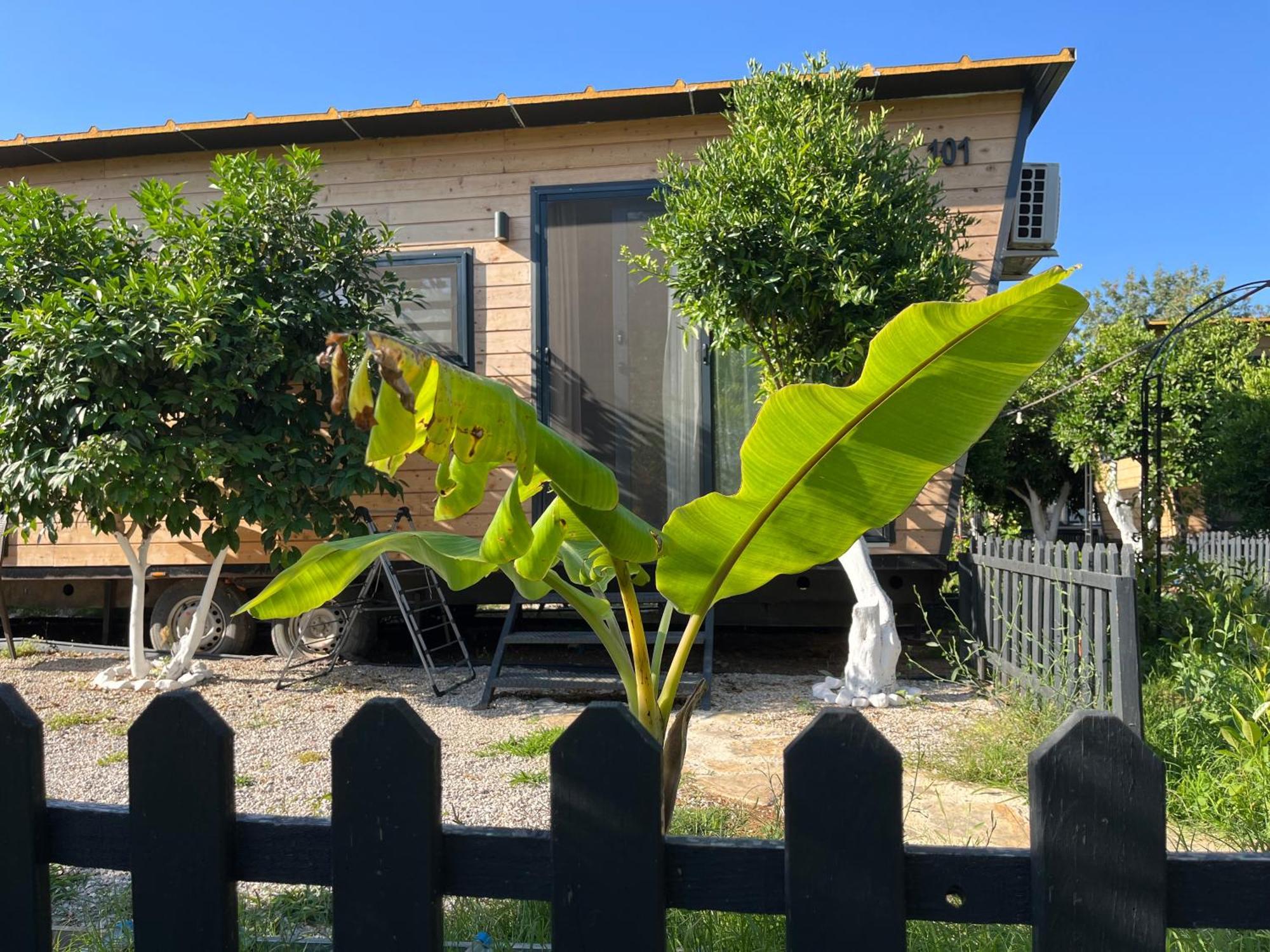 Gaia Tiny Houses Butik Hotel Bodrum 외부 사진