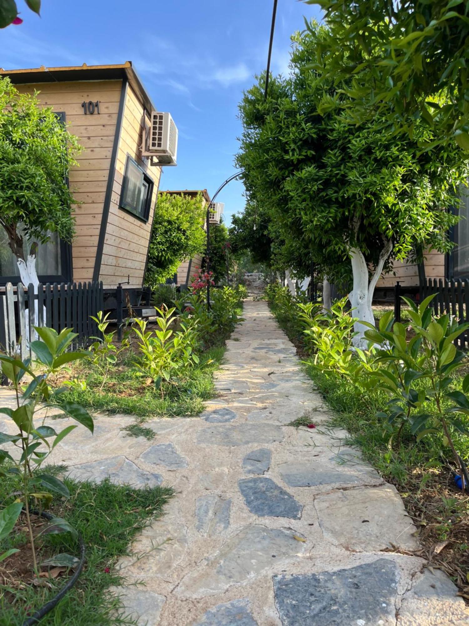 Gaia Tiny Houses Butik Hotel Bodrum 외부 사진